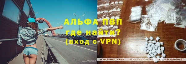spice Богородск