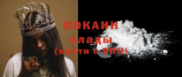 ПСИЛОЦИБИНОВЫЕ ГРИБЫ Богданович
