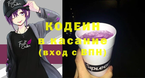 ПСИЛОЦИБИНОВЫЕ ГРИБЫ Богданович
