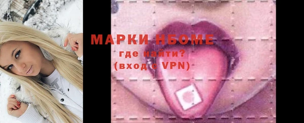 ПСИЛОЦИБИНОВЫЕ ГРИБЫ Богданович