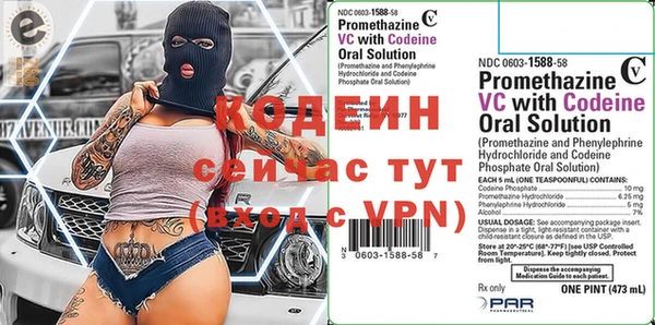 ПСИЛОЦИБИНОВЫЕ ГРИБЫ Богданович
