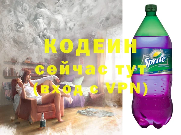 spice Богородск