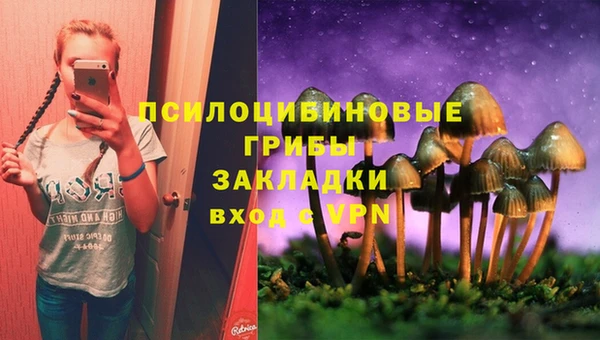 mix Богородицк