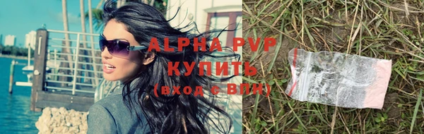 ПСИЛОЦИБИНОВЫЕ ГРИБЫ Богданович