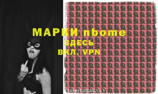 индика Бородино