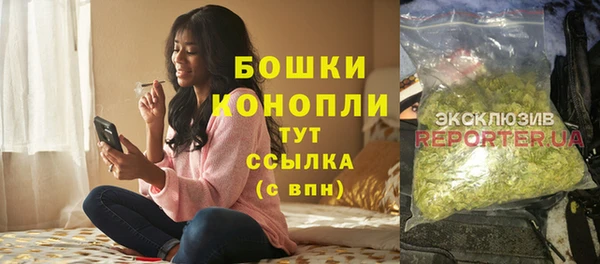 spice Богородск