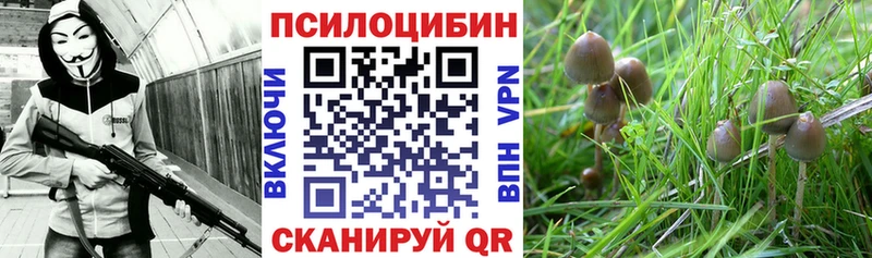 Галлюциногенные грибы мухоморы  купить закладку  Рыбинск 